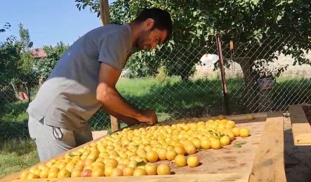 Iğdır’da 40 derece sıcakta ekmek parası