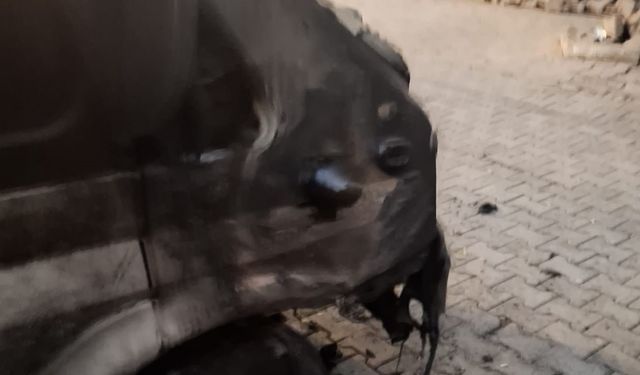 Kağızman da park halindeki 1 araç yandı