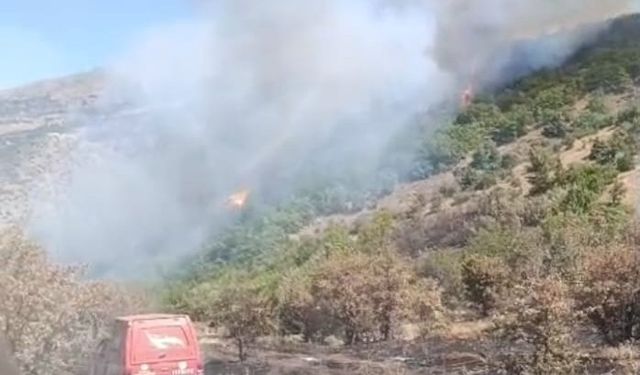 Malatya’daki orman yangını söndürüldü