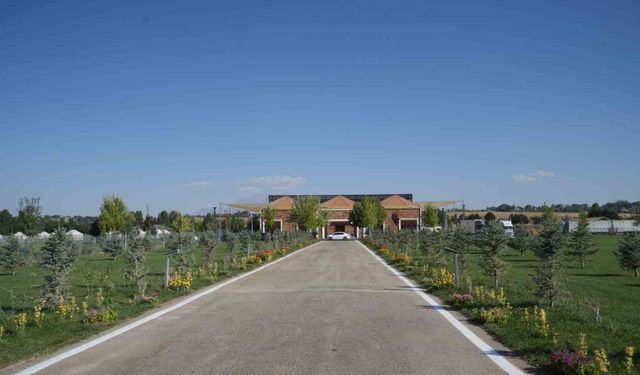 Malazgirt’te 1071 çiçek dikildi