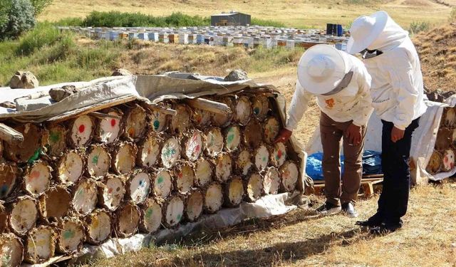 Önlem alınmazsa arıcılar zor günler yaşayacak.