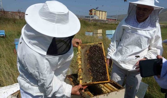 Vali Çiçek, ilk bal sağımını gerçekleştirdi