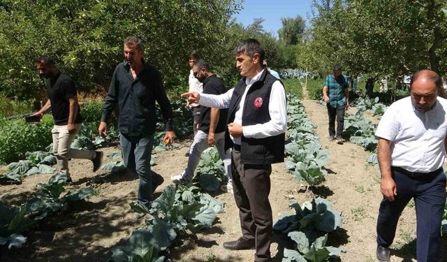 Vanlı çiftçi hibe desteğiyle üretimde çifte kazanç sağladı