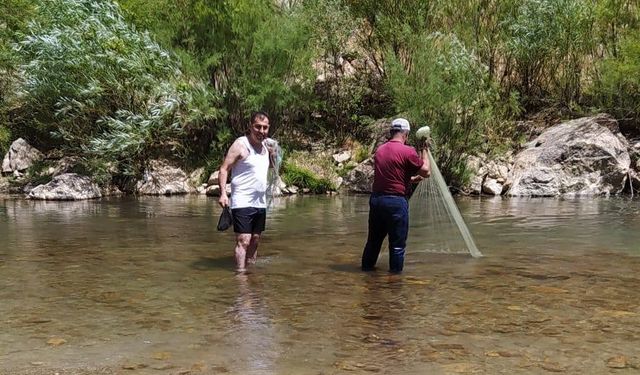 Mutki’de derede balık tutma keyfi