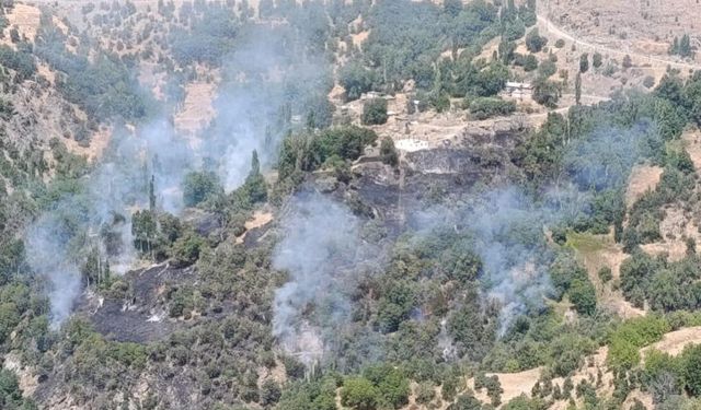 Hizan’da 2 gündür süren yangın kontrol altına alındı