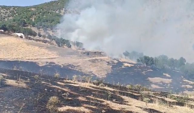 Hizan’da örtü yangını etkili oluyor