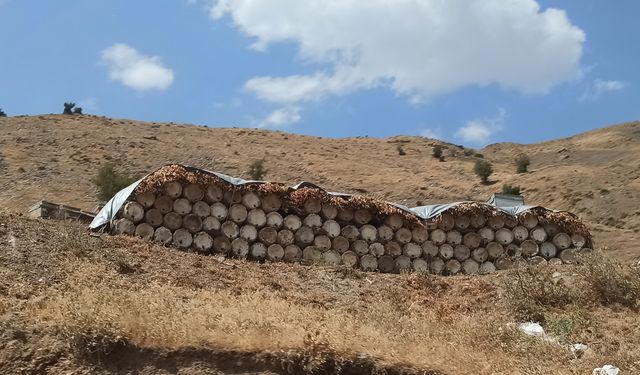 Hizan’da Karakovan Balı mesaisi sürüyor