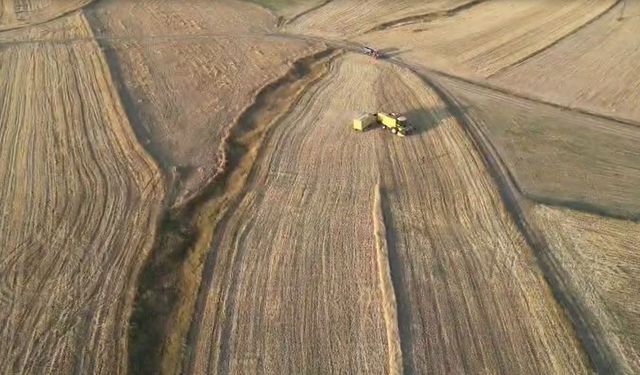 Ardahan’da arpa ve buğday hasadı sürüyor