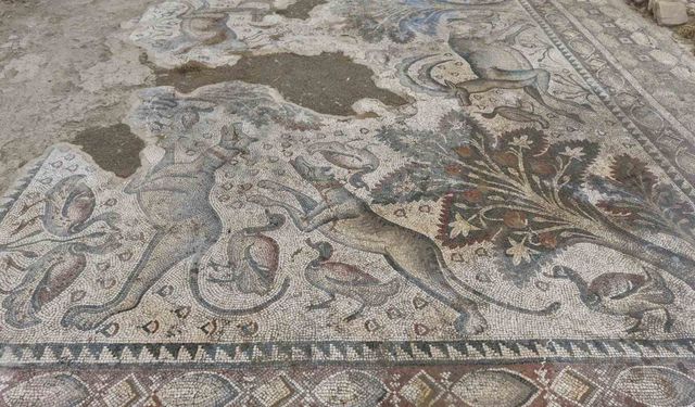 Elazığ’da 1700 yıllık Roma mozaiği gün yüzüne çıkarılıyor