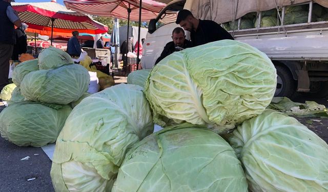 Erzincan’da turşuluk ve yemeklik lahanalar tezgahta yerini aldı