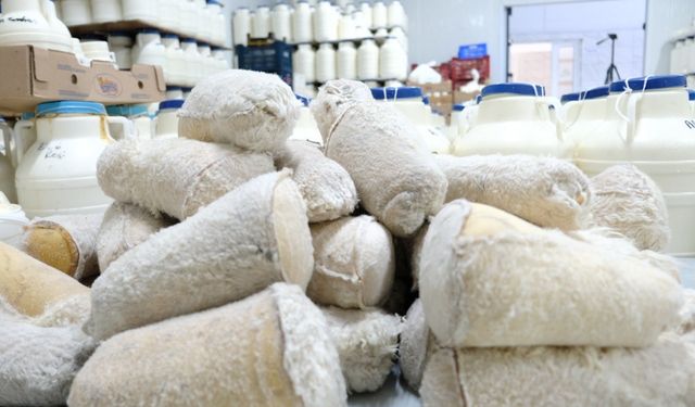 Kahvaltı sofralarına 3 bin rakımdan gelen lezzet: Erzincan tulum peyniri