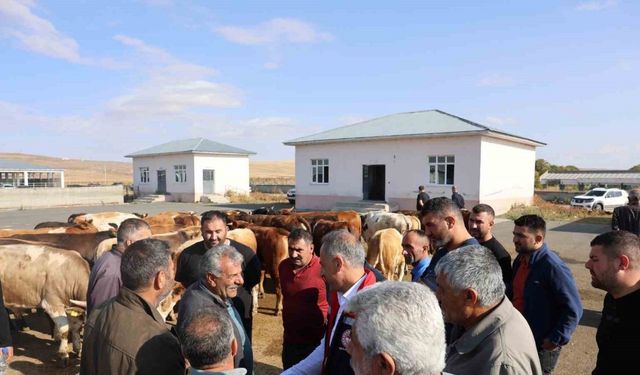 Kars Hayvan Pazarı açıldı