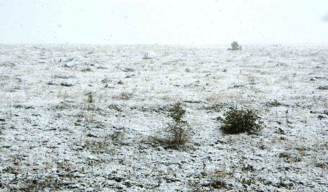 Posof’ta kar yağışı