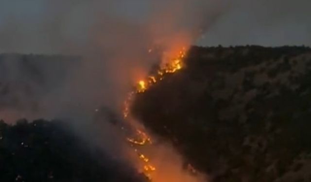 Şemdinli’de ormanlık alanda korkutan yangın