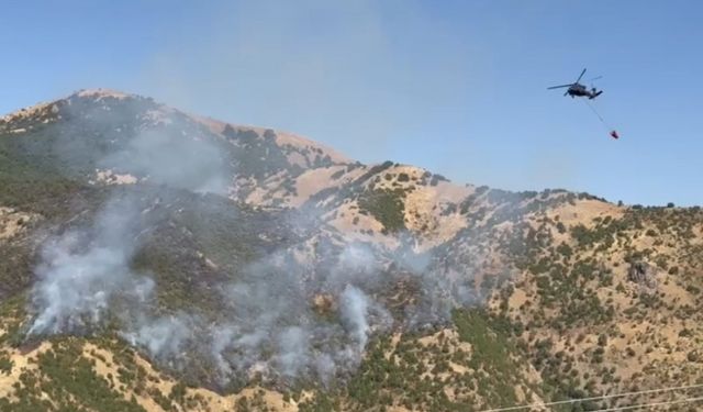 Şemdinli’deki orman yangınına hava destekli müdahale