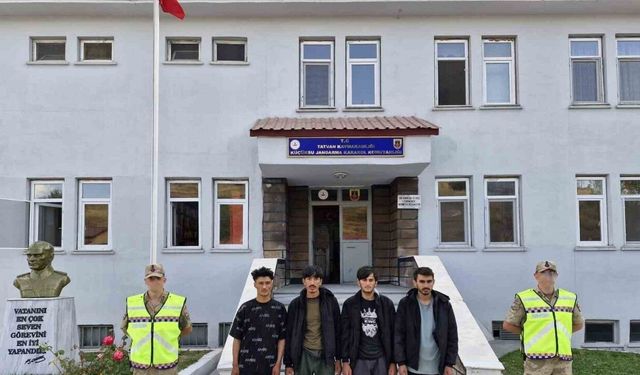 Tatvan’da 4 düzensiz göçmen yakalandı