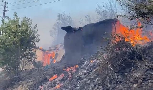 Tunceli’de yangın: Evler ve ağaçlık alan alevlere teslim oldu