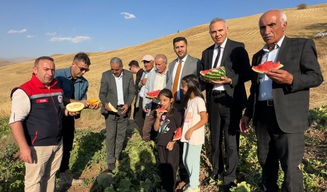 Yüksekova’da mısır, karpuz ve kavun hasadı yapıldı