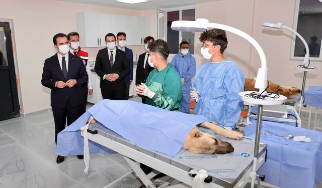 Vali Karakaya’dan Sokak Hayvanları Bakımevi’ne inceleme