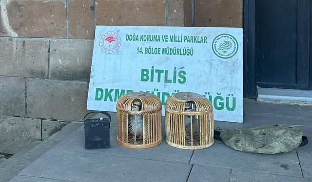 Adilcevaz’da kaçak keklik avlayanlara 101 bin 710 lira ceza
