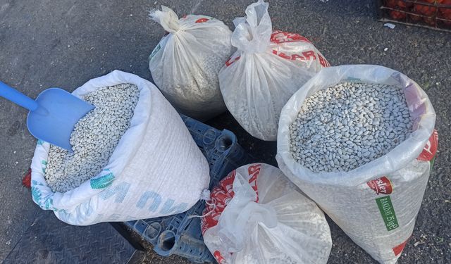 Ahlat’ta yeni mahsul kuru fasulye tezgâhlarda