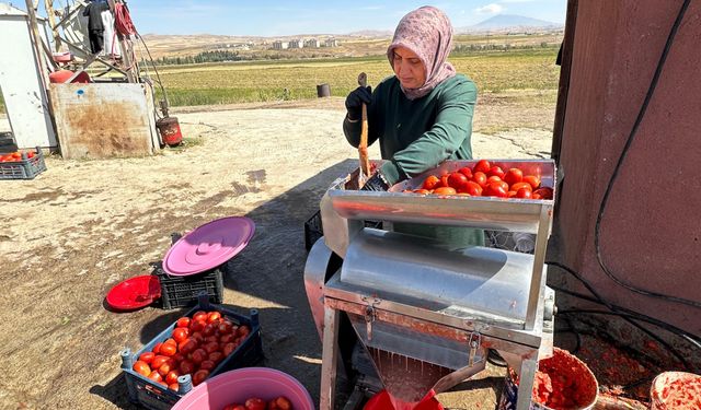 Ahlat’ta domatesler salçaya dönüşüyor