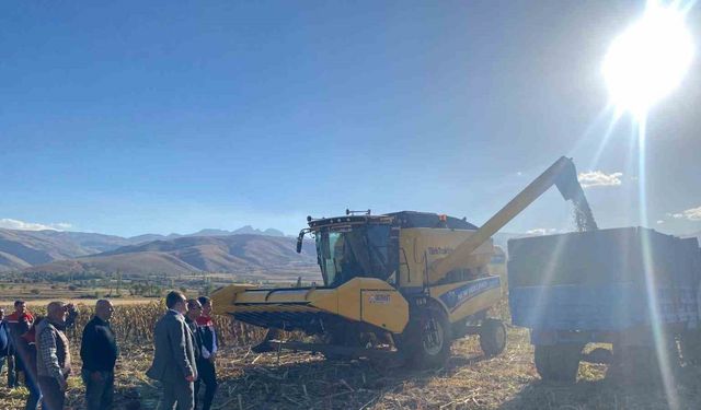 Çayırlı’da ayçiçeği hasadı başladı