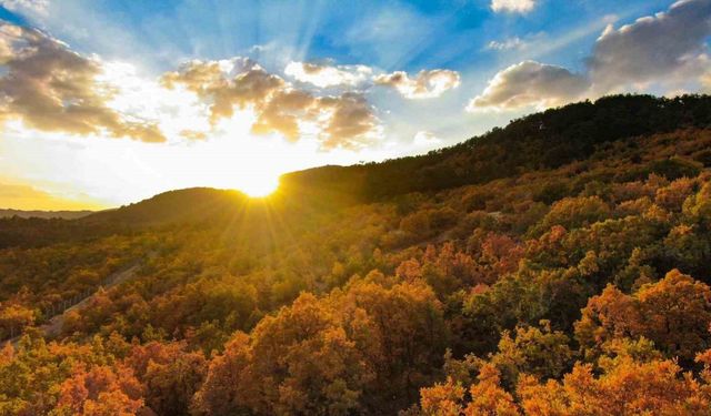 Erzincan’da hazan mevsimi güzelliği