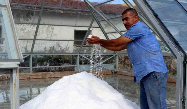 Erzincan’ın dağlarından sofralara