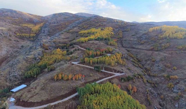 Haspet Kalesi’nde sanat ve duyarlılık buluştu