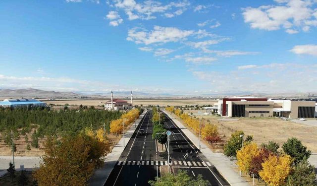 Kars’ta renk tonuna bürünen ağaçlar büyüledi