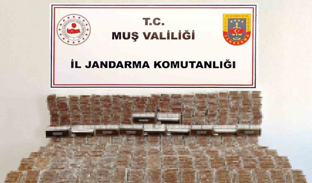 Muş’ta 40 bine yakın dolu makaron ele geçirildi