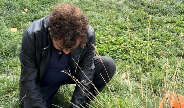 Öğretmenin fark ettiği yaralı güvercin kurtarıldı