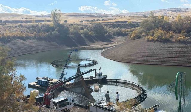 Tercan Baraj Gölü’nde su ürünleri üretimi büyüyor