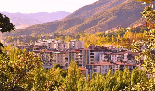 Hizan, sonbahar renklerine büründü