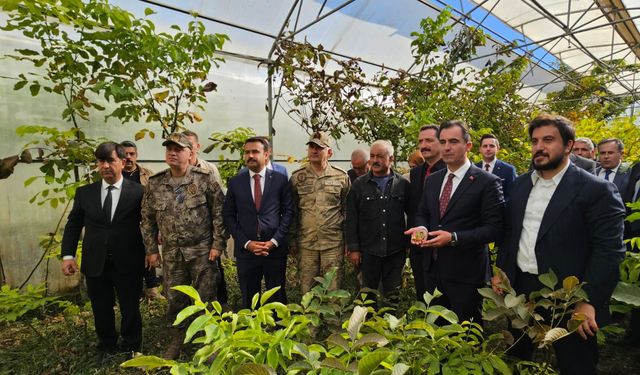 Vali Karakaya Adilcevaz’da ceviz hasadına katıldı