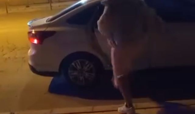 Elazığ'da bir kadın, tartıştığı şahsın otomobiline saldırdı