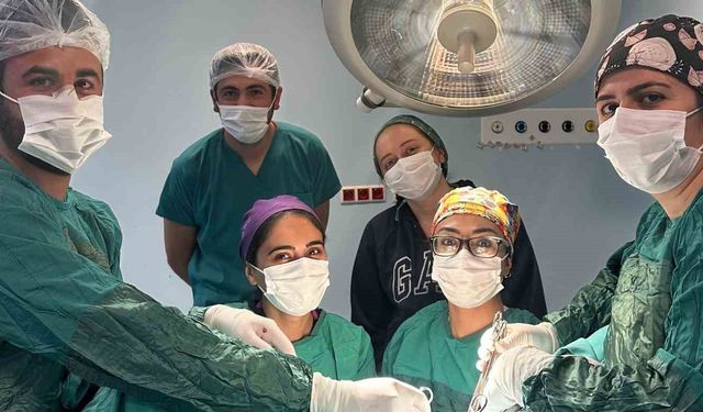 Kağızman Devlet Hastanesi'nde karın kesisi ameliyatı gerçekleştirildi