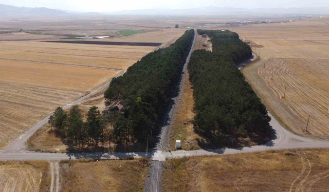 Kars'ta bozkırın ortasındaki vaha drone ile görüntülendi