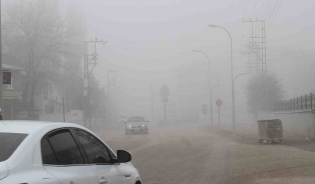 Malazgirt’te sis etkili oldu