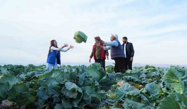 Muş Ovası’nda gönüllü gençlerden çiftçilere hasat desteği