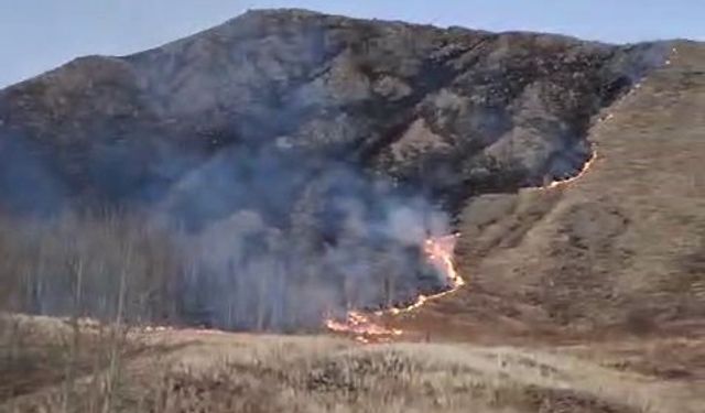 Oltu'da örtü yangını paniğe neden oldu