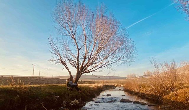 Sonbaharda sararan yapraklar hayran bırakıyor