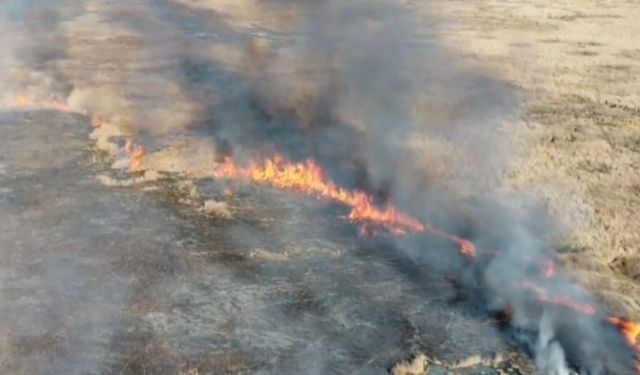 Van'da sazlık alanda çıkan yangın paniğe neden oldu