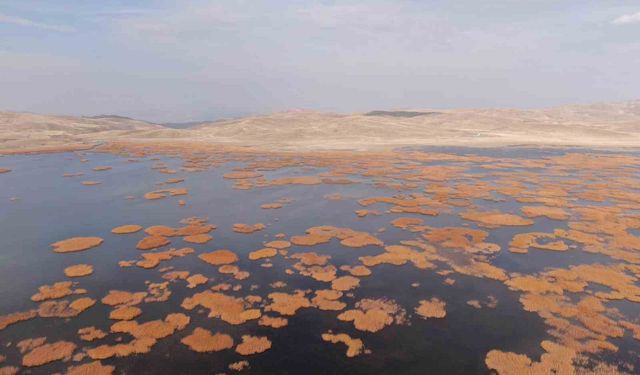 Van’da sonbaharın son haftasında kartpostallık manzaralar