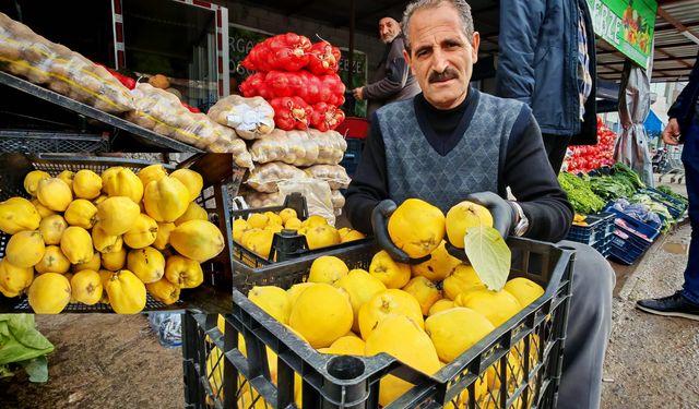 Ahlat’ta yerli ayvaya ilgi artıyor