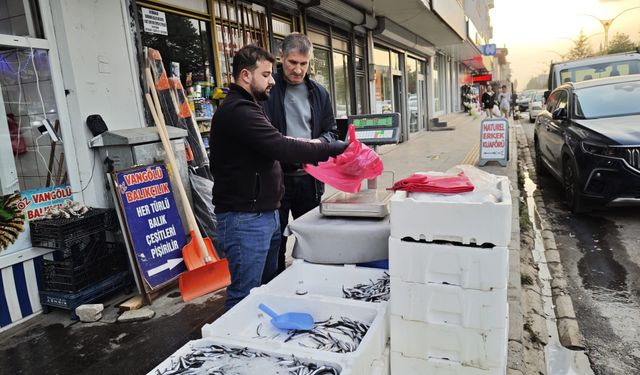 Ahlat’ta hamsi 50 liraya düştü, balıkçı tezgâhlarında yoğunluk oluştu