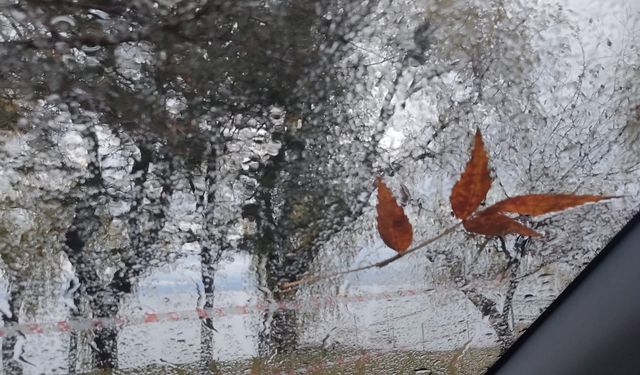 Bitlis’te soğuk ve yağmur etkisini sürdürüyor