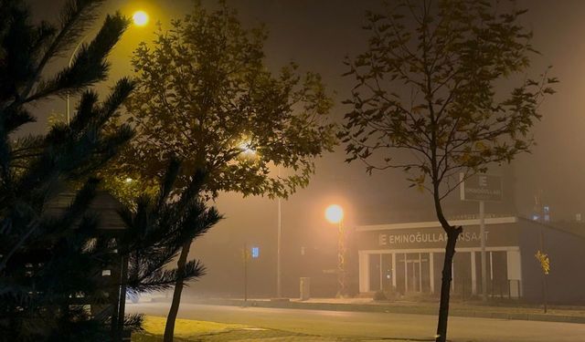 Tatvan’da akşam saatlerinde yoğun sis etkili oldu