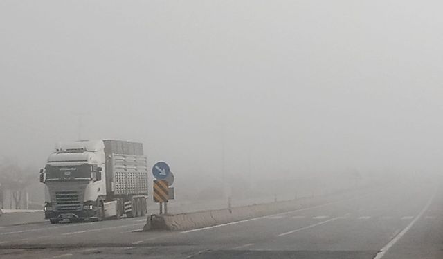 Güroymak’ta yoğun sis etkili oldu